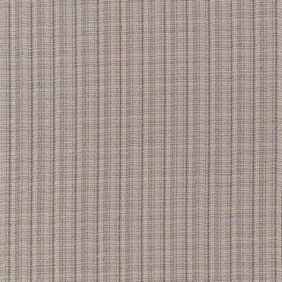 Charlotte Fabrics Y624 Platinum