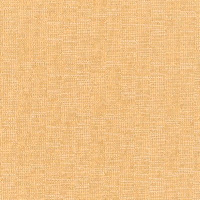 Charlotte Fabrics Y635 Honey