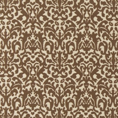 Charlotte Fabrics Y638 Coffee