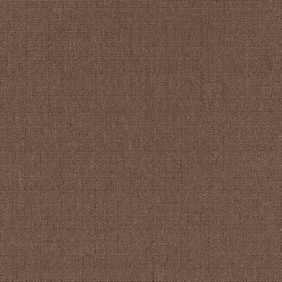 Charlotte Fabrics Y732 Cocoa