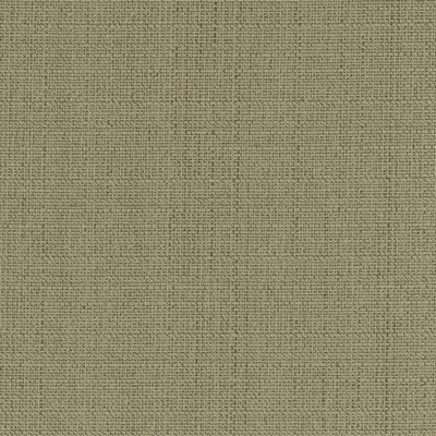 Charlotte Fabrics Y733 Spring