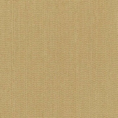 Charlotte Fabrics Y769 Fern