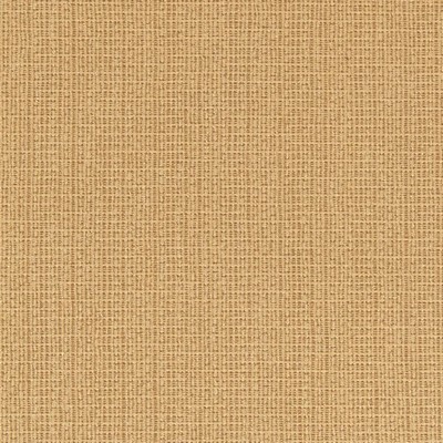 Charlotte Fabrics Y770 Honey