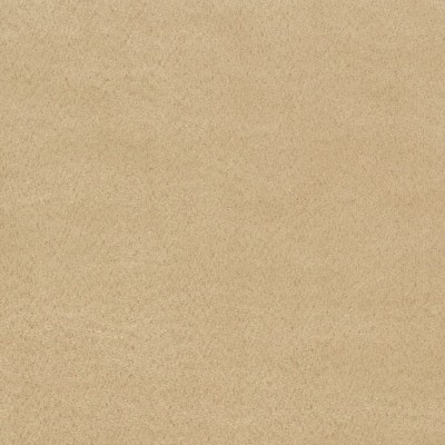 Charlotte Fabrics Y774 Chamois