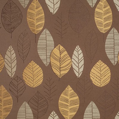 Charlotte Fabrics Y822 Chocolate