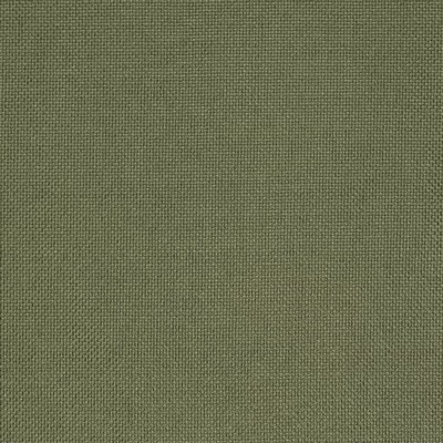 Charlotte Fabrics Y826 Olive