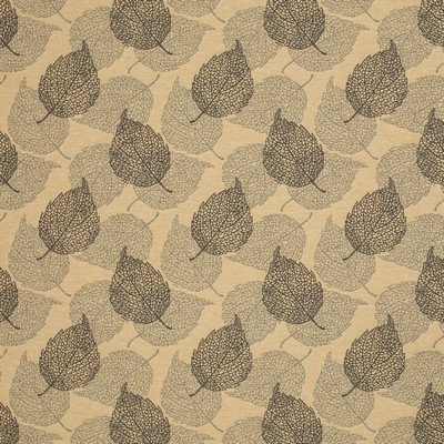 Charlotte Fabrics Y849 Graphite