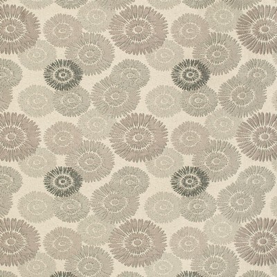 Charlotte Fabrics Y857 Pewter