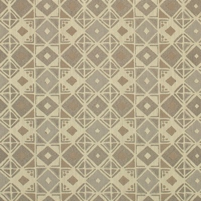 Charlotte Fabrics Y971 Nickel