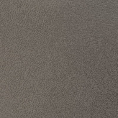 Charlotte Fabrics Z143 Charcoal