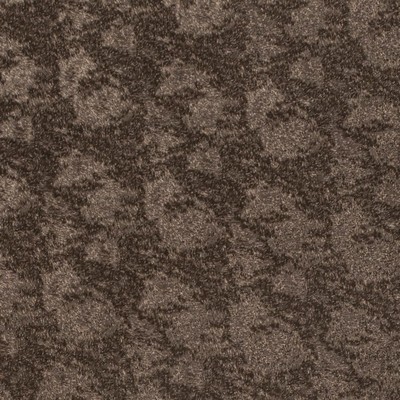 Charlotte Fabrics Z161 Sable