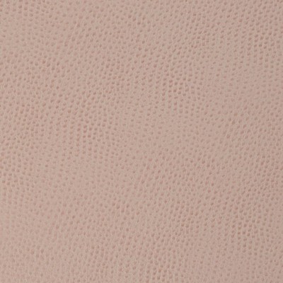 Charlotte Fabrics Z172 Rose