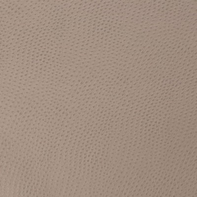 Charlotte Fabrics Z173 Serene