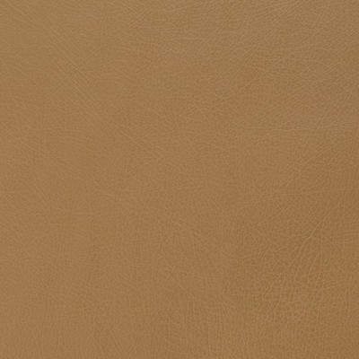 Charlotte Fabrics Z174 Bronze