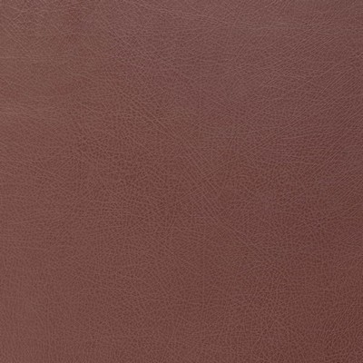 Charlotte Fabrics Z175 Burgundy