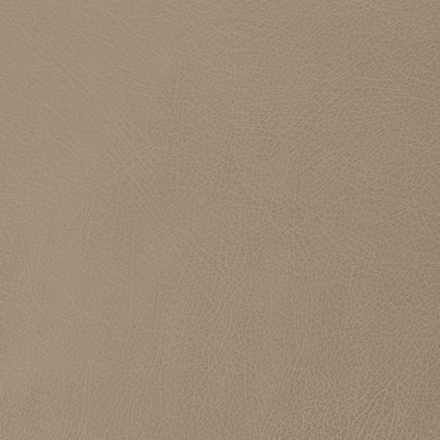 Charlotte Fabrics Z176 Cement