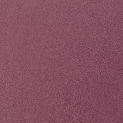 Charlotte Fabrics Z179 Fuchsia