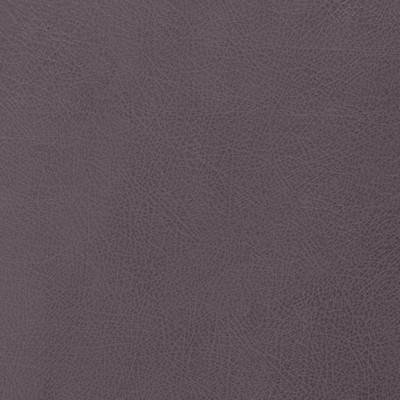 Charlotte Fabrics Z182 Plum