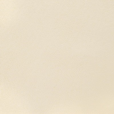 Charlotte Fabrics Z202 Ivory