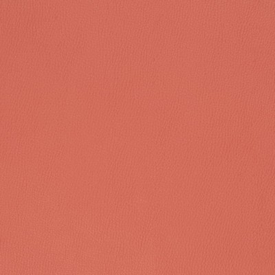 Charlotte Fabrics Z227 Persimmon