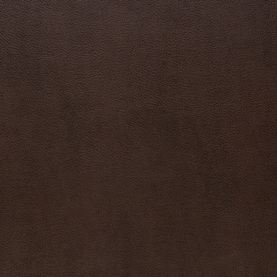 Charlotte Fabrics Z2405 Fudge