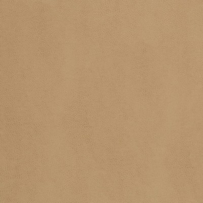 Charlotte Fabrics Z2407 Tan