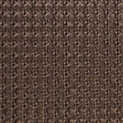 Charlotte Fabrics Z2412 Coffee Bean