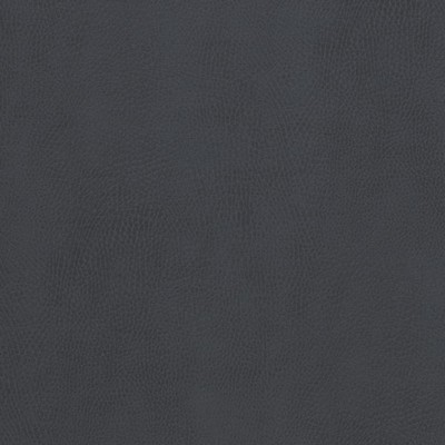 Charlotte Fabrics Z2419 Pewter