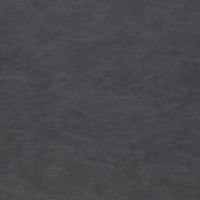 Charlotte Fabrics Z2420 Slate