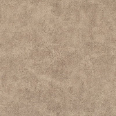 Charlotte Fabrics Z2421 Buckskin