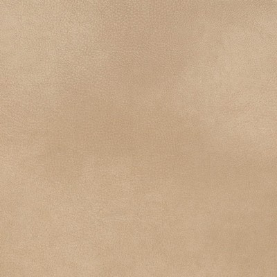 Charlotte Fabrics Z2423 Tan