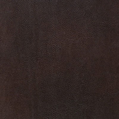 Charlotte Fabrics Z2424 Fudge