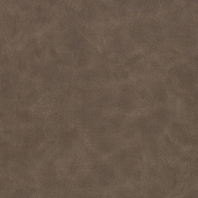 Charlotte Fabrics Z2430 Bedrock