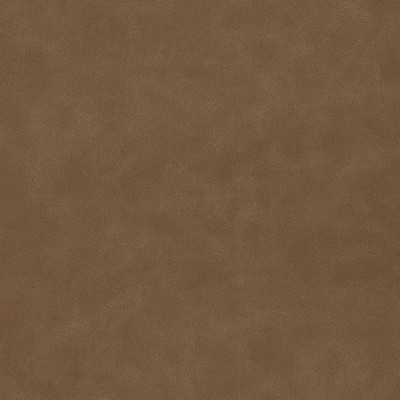 Charlotte Fabrics Z2436 Camel