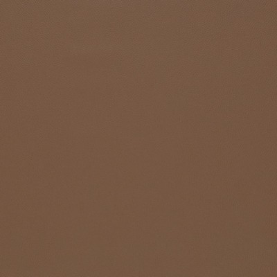 Charlotte Fabrics Z2440 Mocha