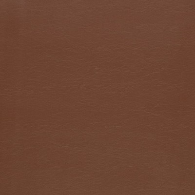 Charlotte Fabrics Z2443 Chocolate