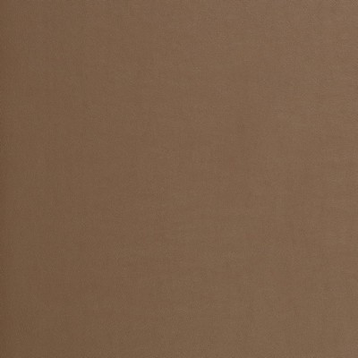 Charlotte Fabrics Z2448 Buckskin