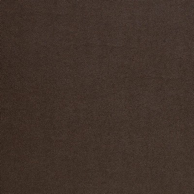 Charlotte Fabrics Z2455 Espresso