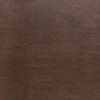 Charlotte Fabrics Z2458 Cocoa