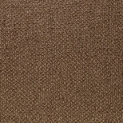 Charlotte Fabrics Z2460 Teak