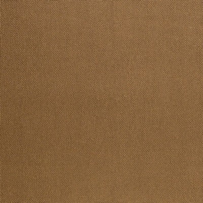 Charlotte Fabrics Z2461 Bronze