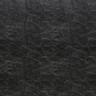 Charlotte Fabrics Z2465 Ebony