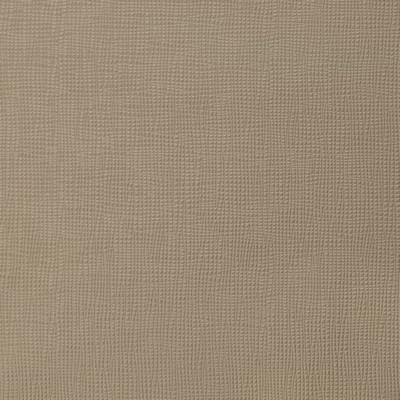 Charlotte Fabrics Z249 Sand