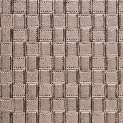 Charlotte Fabrics Z276 Platinum