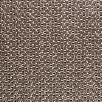 Charlotte Fabrics Z281 Pewter