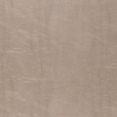 Charlotte Fabrics Z340 Beige