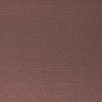 Charlotte Fabrics Z350 Aubergine