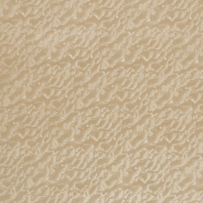 Charlotte Fabrics Z359 Fawn