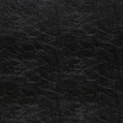 Charlotte Fabrics Z382 Ebony