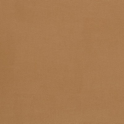 Charlotte Fabrics Z393 Camel